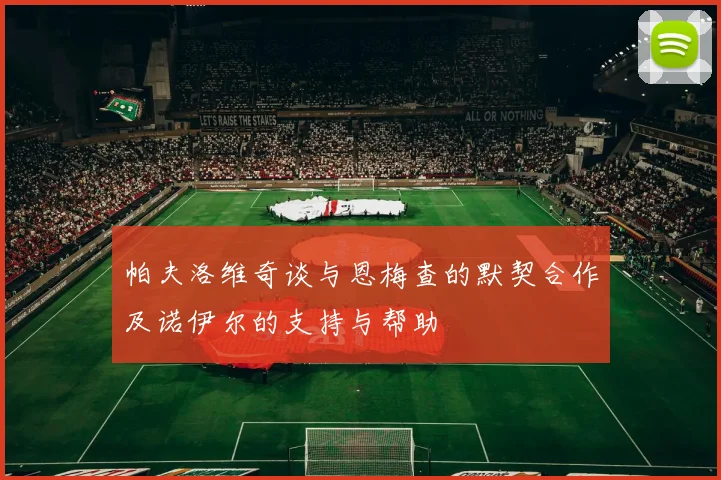 帕夫洛维奇谈与恩梅查的默契合作及诺伊尔的支持与帮助