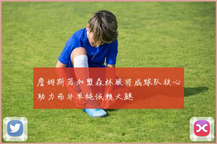 詹姆斯若加盟森林狼将成球队核心助力而非单纯依赖大腿